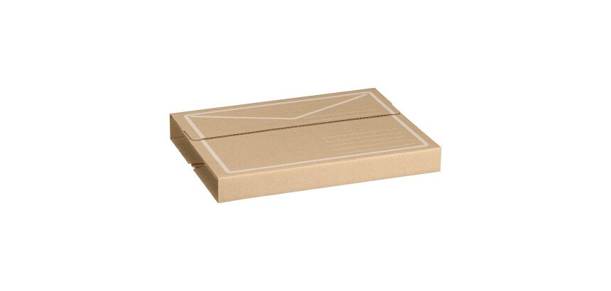 Etui d'expédition postale 24 x 18 x 10 cm - Paquet de 10 étuis