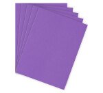 Subcarpetas papel A4 80 g colores vivos Bruneau Paquete de 100
