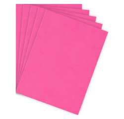 Subcarpetas papel A4 80 g colores vivos Bruneau Paquete de 100 color rosa