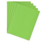 Subcarpetas papel A4 80 g colores vivos Bruneau Paquete de 100