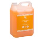 Jabón de mano Bruneau albaricoque - garrafa de 5L