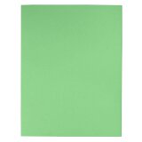 Recycled file folders 170 g Exacompta 24 x 32 cm green - Pack of 100