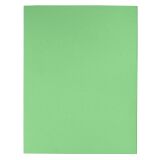 Recycled file folders 170 g Exacompta 24 x 32 cm green - Pack of 100