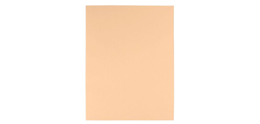 Chemise recycelt 170 g Exacompta 24 x 32 cm Farbe - Packung mit 100