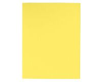 Cartelline semplici Foldyne Exacompta A4 180 g/m² cartoncino 100 unità