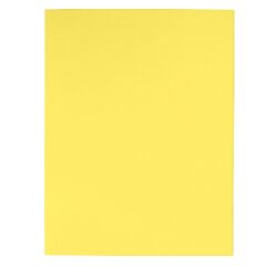 Cartelline semplici Foldyne Exacompta A4 180 g/m² cartoncino 100 unità