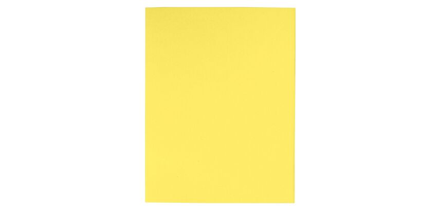 Cartelline semplici Foldyne Exacompta A4 180 g/m² cartoncino 100 unità