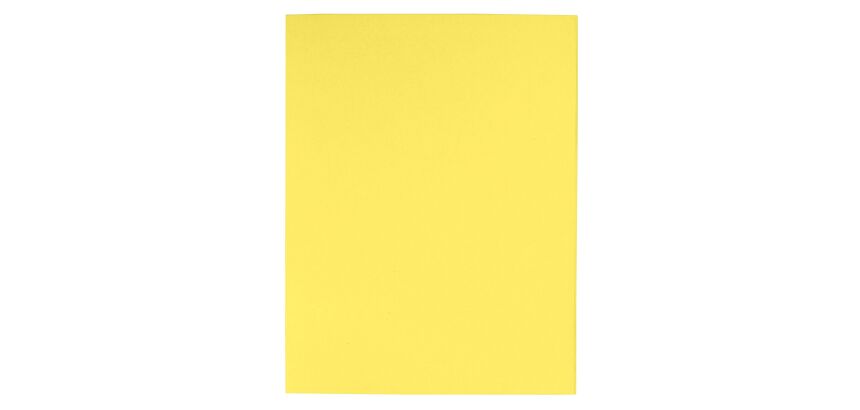 Gerecycleerde dossiermappen 170 g Exacompta 24 x 32 cm gekleurd - pak van 100