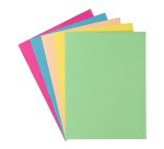 Chemises de couleur cartonnées recyclées 24 x 32 cm - Paquet de 100 - Exacompta