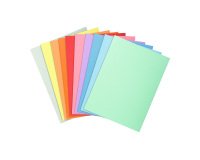 Subcarpetas clásicas Exacompta 160 g 24 x 32 cm Colores surtidos - Paquete de 100