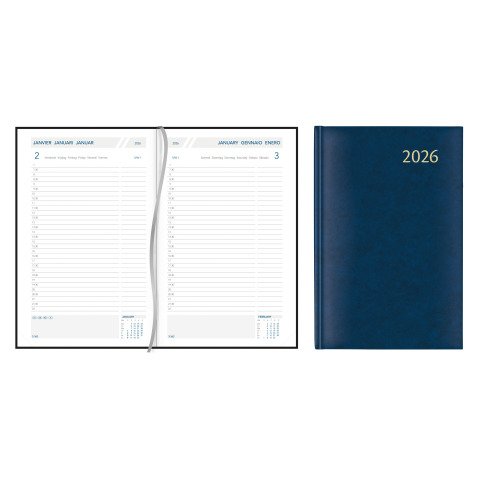 Diary 2023 Aurora Daily