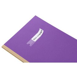 Doos 120 kleefetikethouders 25X75MM