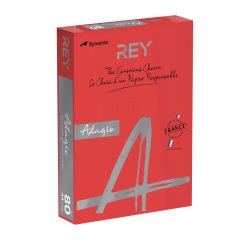 <span>Paper A4 color 80 g Rey Adagio intense colors - Pack of 500 sheets</span>
