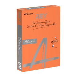 Papel A4 color 80 g Rey Adagio colores intensos - Paquete de 500 hojas