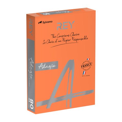 Ramette papier couleur Rey Adagio couleurs intenses A4 80 gr - 500 feuilles
