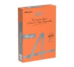 Ramette papier couleur Rey Adagio couleurs intenses A4 80 gr - 500 feuilles