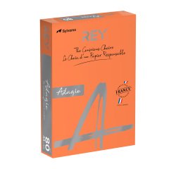 Papel A4 color 80 g Rey Adagio colores intensos - Paquete de 500 hojas