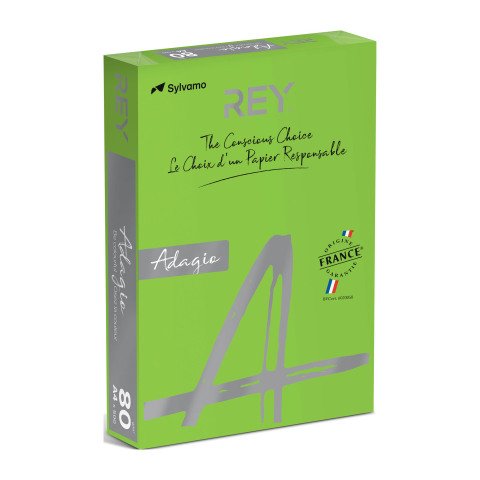 Papel A4 color 80 g Rey Adagio colores intensos - Paquete de 500 hojas verde vivo