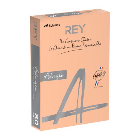 Papel A4 colores pastel 80 g Rey Adagio - Paquete de 500 hojas salmón
