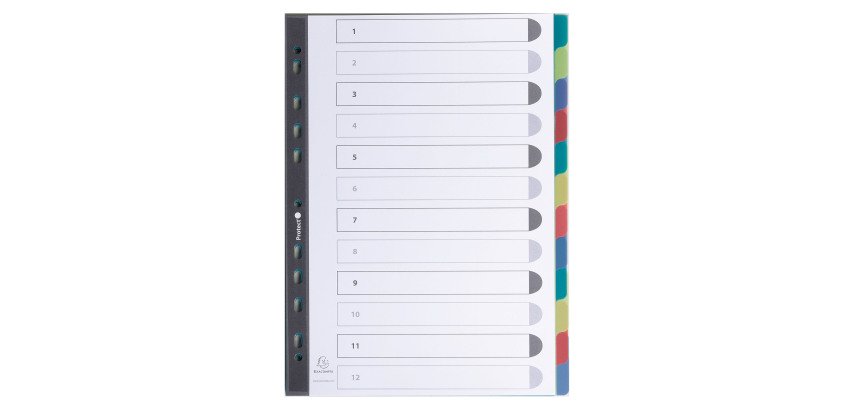 Set of dividers, 12 divisions, recycled polypropylene Forever