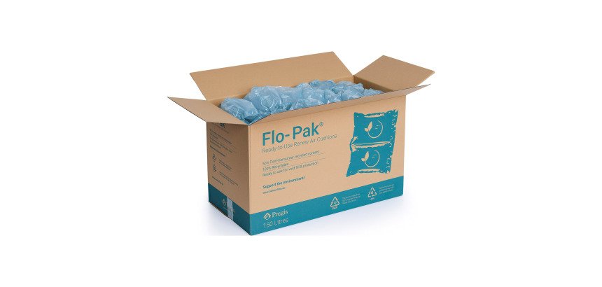 Coussins d'air prédécoupés 20 x 10 cm