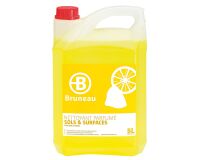 Pack 2 + 1 cleansing product floors and surfaces Bruneau lemon - can of 5 liter