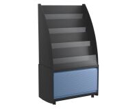 Magazine display rack with case