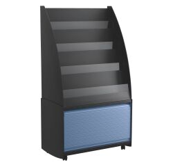 Magazine display rack with case