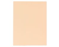 Subcarpetas de cartulina 1 solapa 210 g A4 colores vivos Exacompta Paquete de 50 color beige