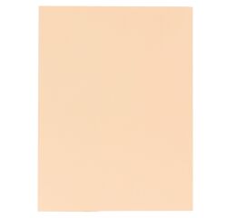 Subcarpetas de cartulina 1 solapa 210 g A4 colores vivos Exacompta Paquete de 50 color beige