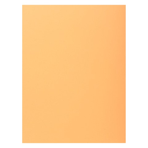Subcarpetas de cartulina 1 solapa 210 g A4 colores vivos Exacompta Paquete de 50 color beige