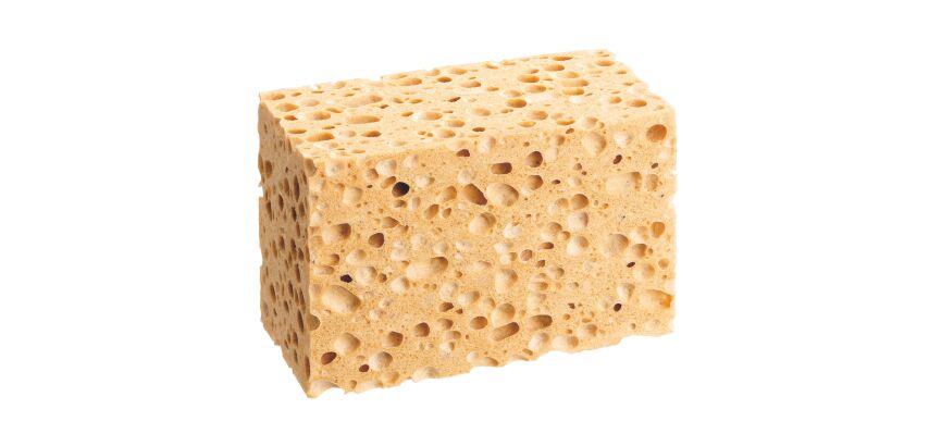 Natuurlijke spons Spontex zware werken - pak van 5