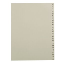 Beige numbered dividers A4 cardboard 25 divisions 26 to 50 - 1 set