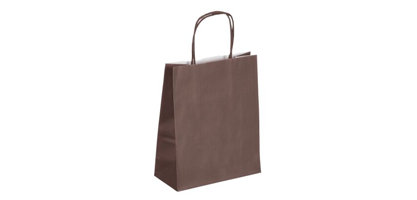 Sacs boutique kraft poignées torsadées 22 x 18 x 8 cm - 50 sacs
