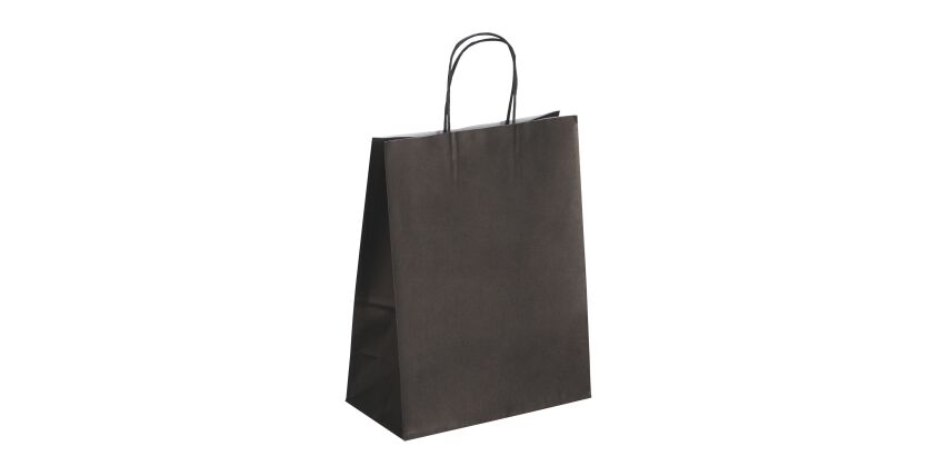 Gift bags kraft with twisted handles 30 x 23 x 12 cm - Pack of 50