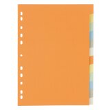 Set colored dividers 12 divisions 5/10 neutral