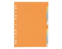 Set colored dividers 12 divisions 5/10 neutral