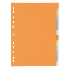 Set colored dividers 12 divisions 5/10 neutral