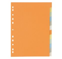 Set colored dividers 12 divisions 5/10 neutral