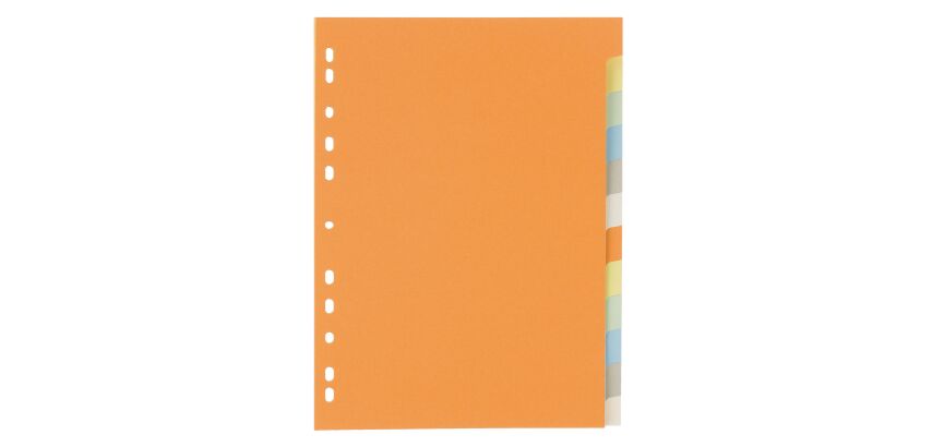 Intercalaire A4 budget carte colorée 12 onglets neutres multicolores - 1 jeu