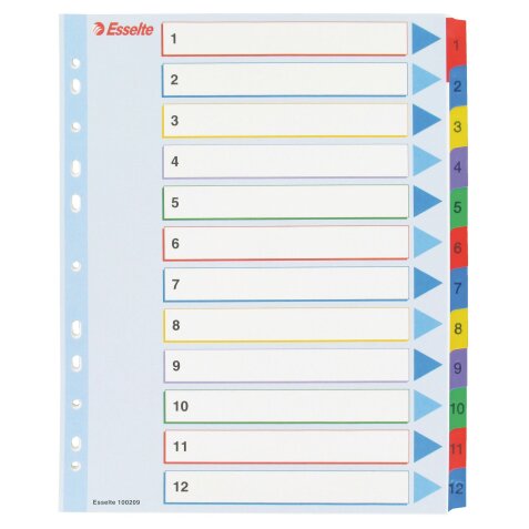 Intercalaire A4+ carte bristol blanche Esselte 12 onglets numériques réinscriptibles multicolores - 1 jeu