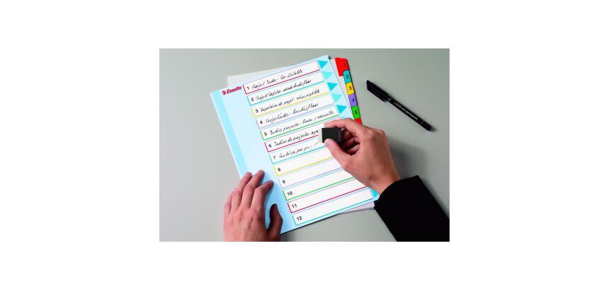 Intercalaire numérique réinscriptible A4+ Esselte 5 onglets multicolores - 1 jeu