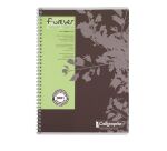 Cahier recyclé spirale Clairefontaine Forever - A4 21 x 29,7 cm - petits carreaux - 100 pages