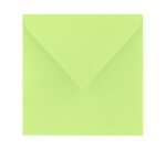 Enveloppe 165 x 165 mm Pollen Clairefontaine 120 g/m² sans fenêtre avec patte gommée - Paquet de 20