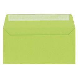 Enveloppe Pollen Clairefontaine 110 x 220 mm - Paquet de 20