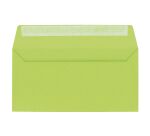 Enveloppe 110 x 220 mm Pollen Clairefontaine 120 g sans fenêtre de couleurs - Paquet de 20