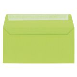 Enveloppe 110 x 220 mm Pollen Clairefontaine 120 g sans fenêtre vert bourgeon - Paquet de 20