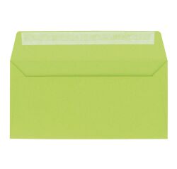 Umschlag 110 x 220 mm Pollen Clairefontaine 120 g ohne Fenster in verschiedenen Farben - Packung mit 20