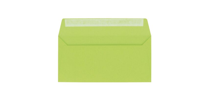 Envelope 110 x 220 mm Pollen Clairefontaine 120 g without window in colors - Pack of 20