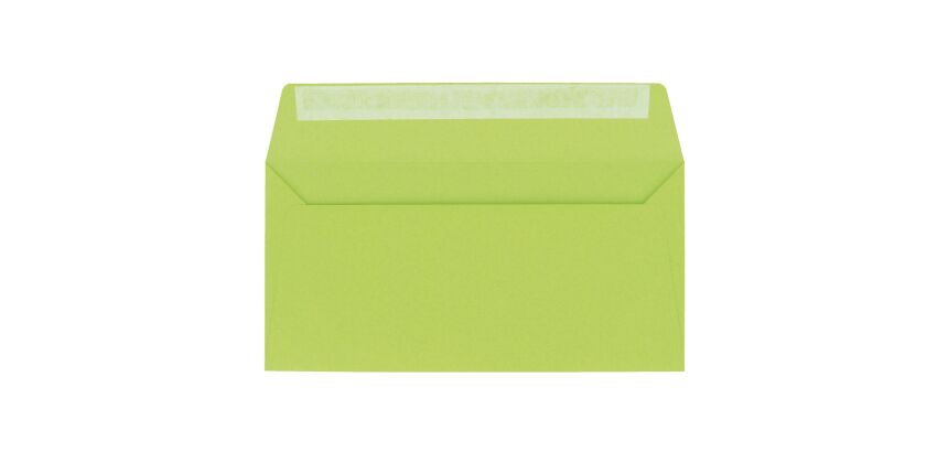 Enveloppe 110 x 220 mm Pollen Clairefontaine 120 g sans fenêtre de couleurs - Paquet de 20